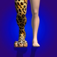 �ϲ�����3d