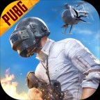 pubg����������������