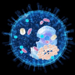 ��������ģ����