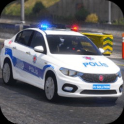 ����ͣ����ʦ