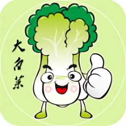 大白菜u盘启动盘制作工具纯净版