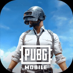 pubgʷ