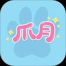 צ