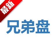 兄弟盘搜索引擎手机版