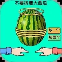 ˫�˽�ѹ��