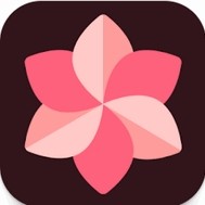 wallspot׿ v1.6