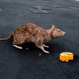 ��������ģ�������ιٷ�����