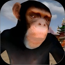 ������ɳ��ģ��ð�����°�