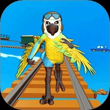 ɽ�����ܿ�