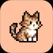 �������°�����_����app����