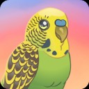 ����������Ϸ