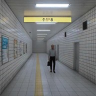 8�������ֻ���ֲ��