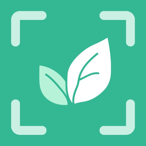 ����aiʶ��app�ٷ���ʽ��