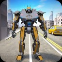 �����˱�����Ѫ����������ʯ����