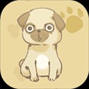 ���˸����ֻ���