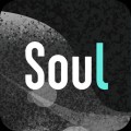 soul׿