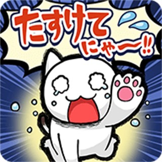 ˭���Ⱦ��������İ�