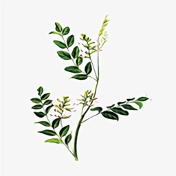 ��ҽֲ��ٿ�