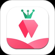 ��ݮС˵�Ķ���