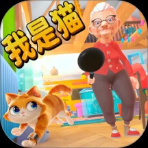 �ɰ�è��ģ����