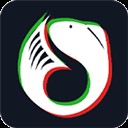 �տ��㶯̬��ֽ