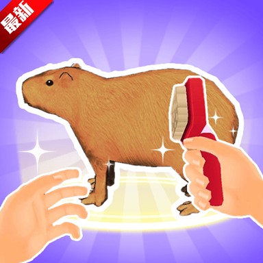 �������ɼ�������