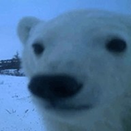 С����Դ���°� v1.7.5