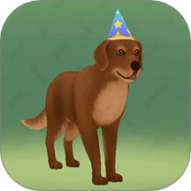 ���˸�����Ϸ