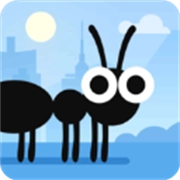 ����ĳ���