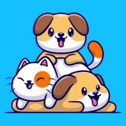 ����Ի���������Ѱ�