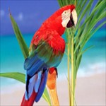 С����tv���°汾 v1.2.0