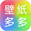��ֽ��ද̬��ֽ