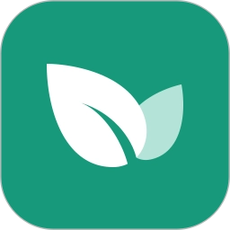 ����֮����׿��