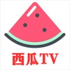 ����tv��ٷ��������°汾