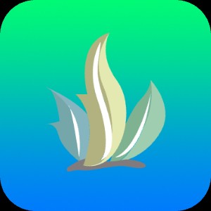 �������ֵ��Ӱ� v1.0.0