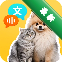 è�����Է��� catdog translator