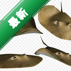 ������Ϸpc�浥����