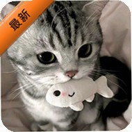 avvtgklzmgm�������°�2026