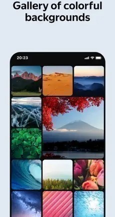 ����˹��������Yandex