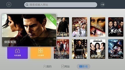 飞视浏览器电视版