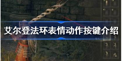 Ƿ鶯ô ͷ鶯