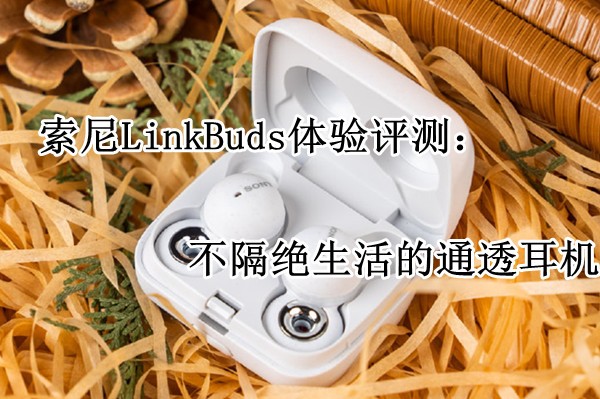 LinkBuds⣺ͨ͸