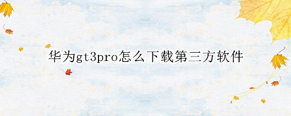 Ϊgt3proôص