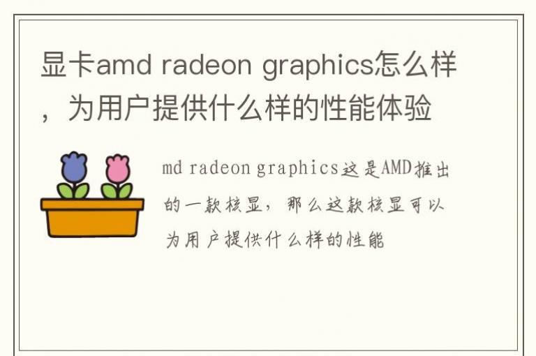 显卡amd radeon graphics怎么样，为用户提供什么样的性能体验？