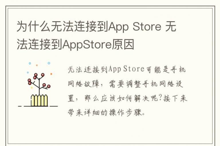 Ϊʲô޷ӵApp Store ޷ӵAppStoreԭ