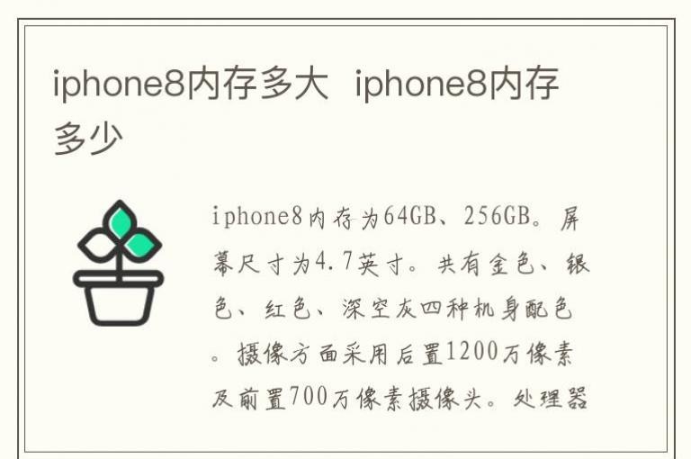 iphone8ڴ  iphone8ڴ