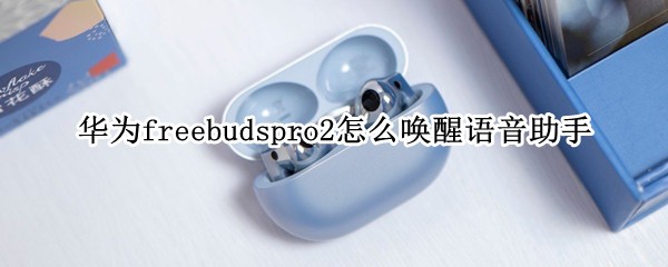 Ϊfreebudspro2ô