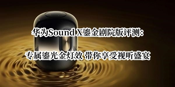 ΪSound X̽Ժ⣺ר̹Ч ʢ