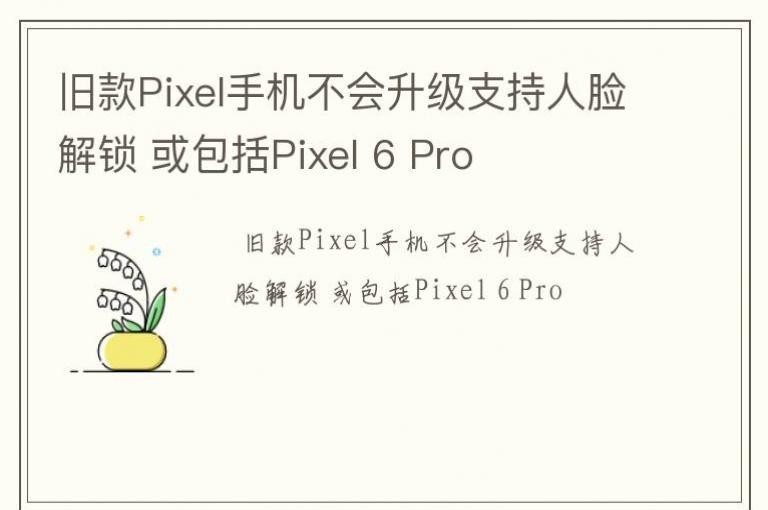 ɿPixelֻ֧ Pixel 6 Pro