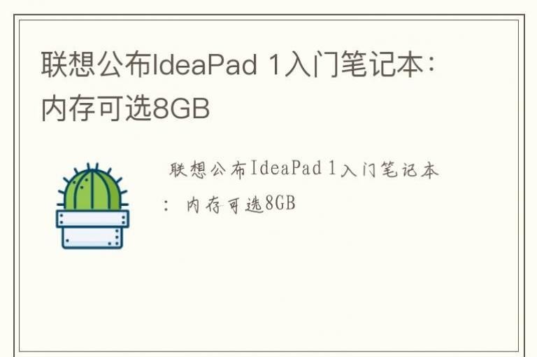 빫IdeaPad 1űʼǱڴѡ8GB